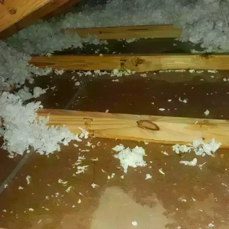 Attic Water Damage in Laurel, MT