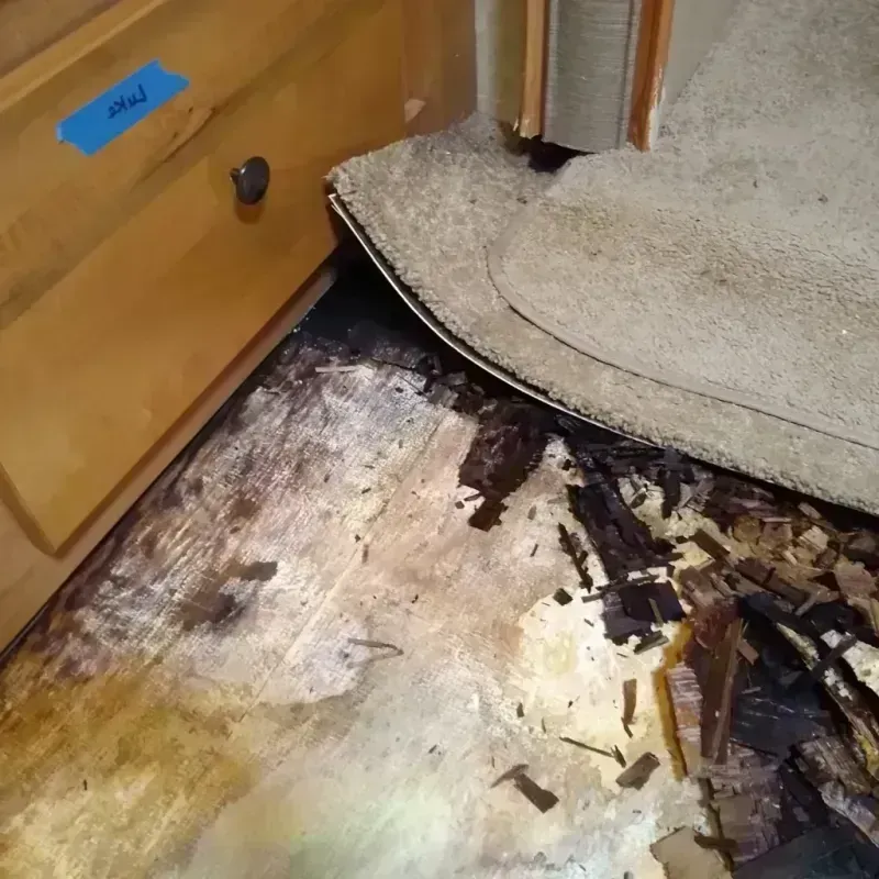 Wood Floor Water Damage in Laurel, MT